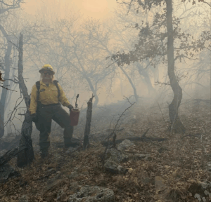 a person in fire gear in a smokey forest.