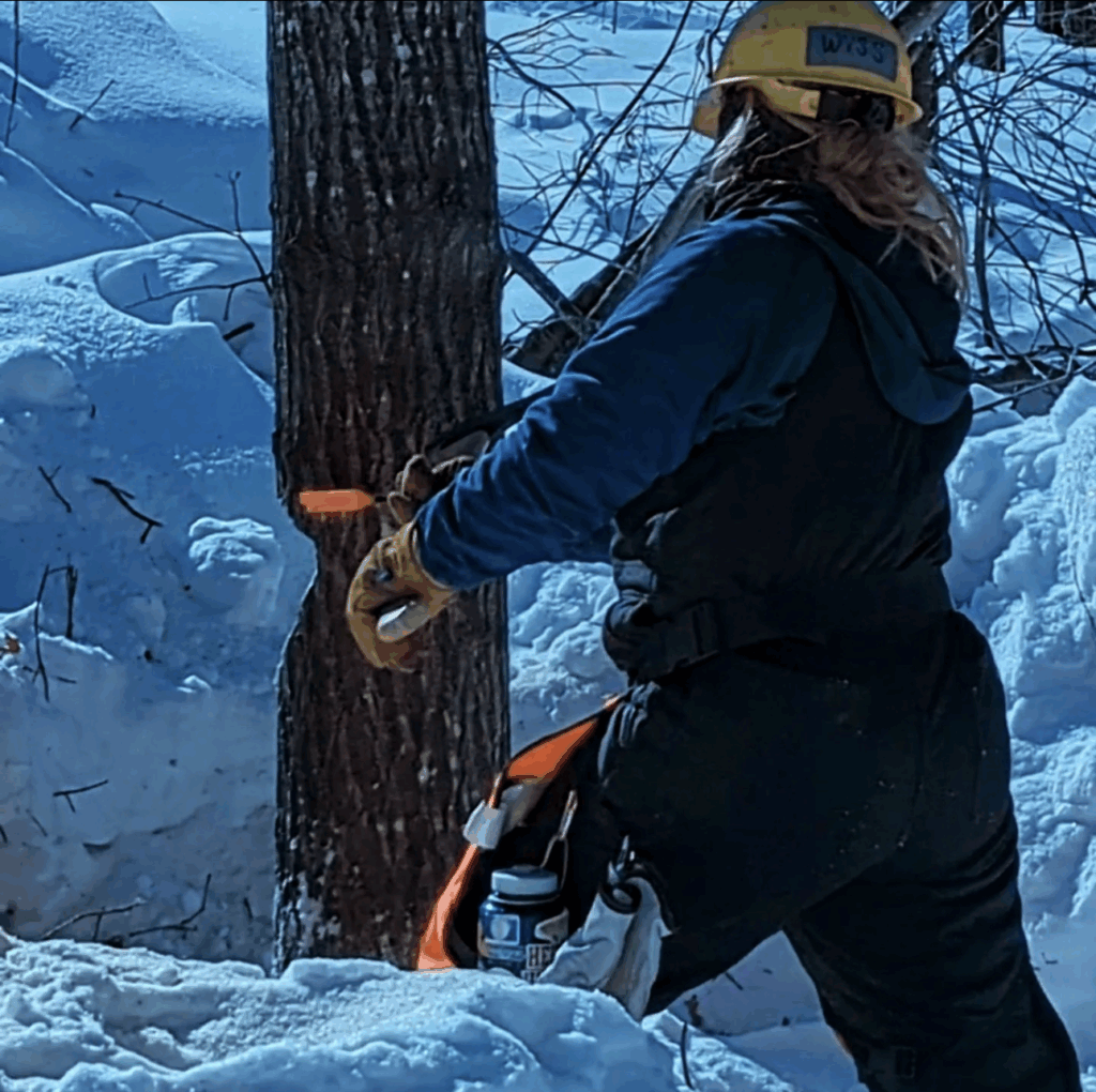 A person chainsawing in winter