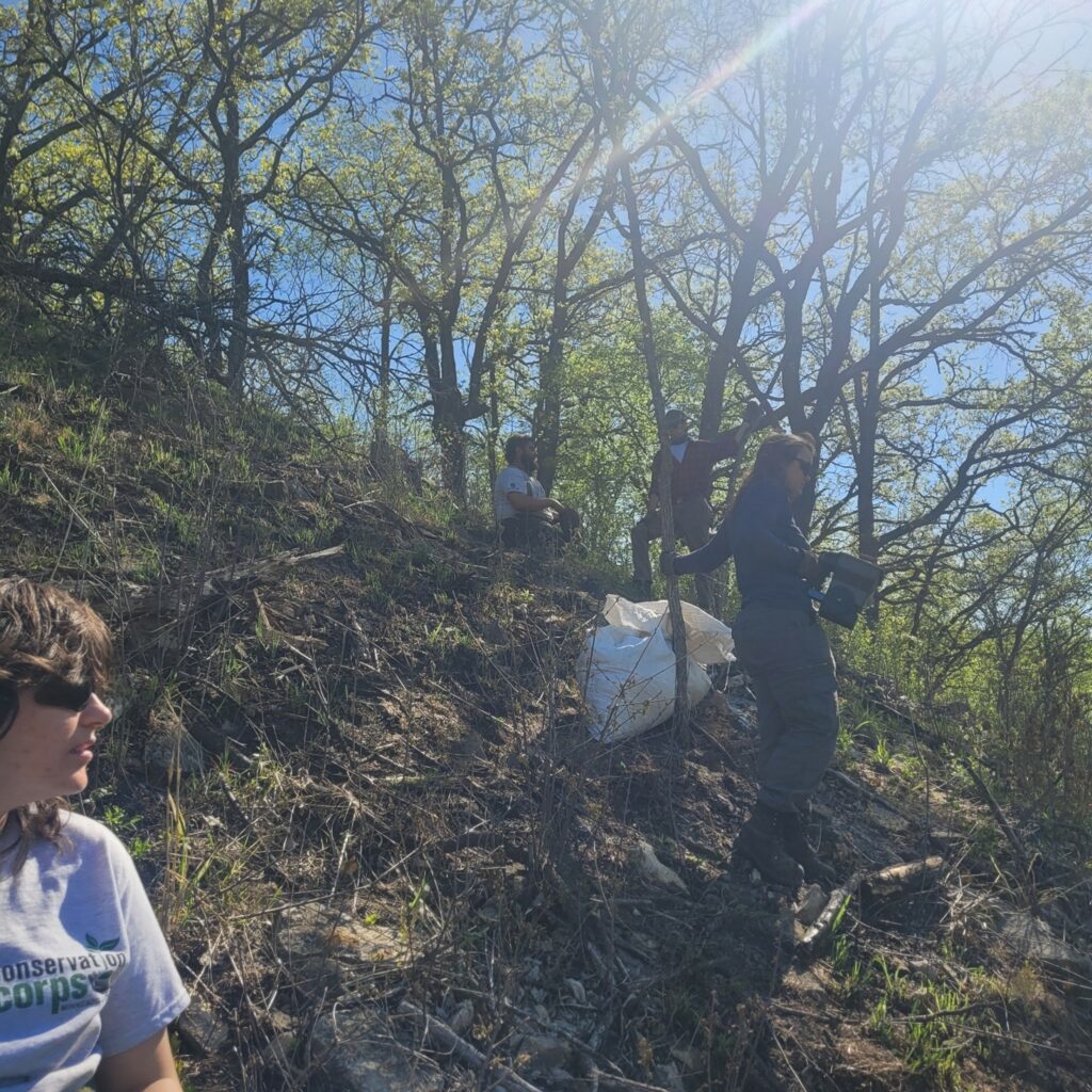People on a hillside