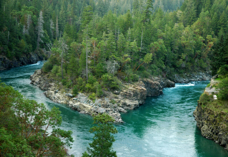 Land Back