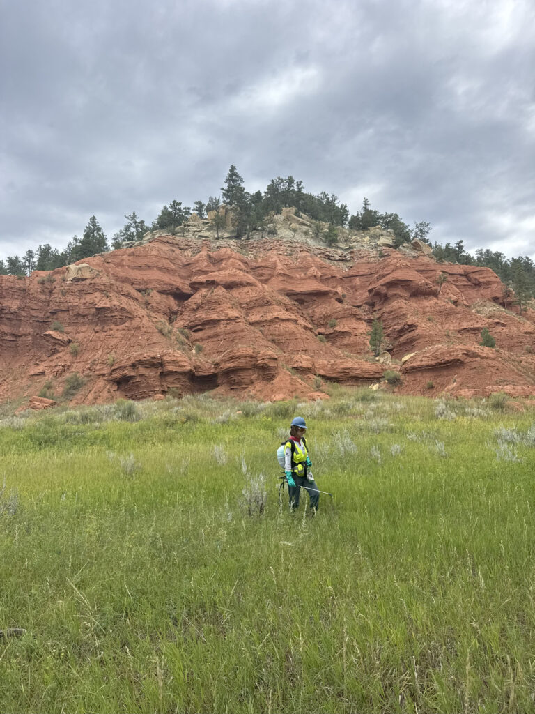 A person in a field with a hill in the background.