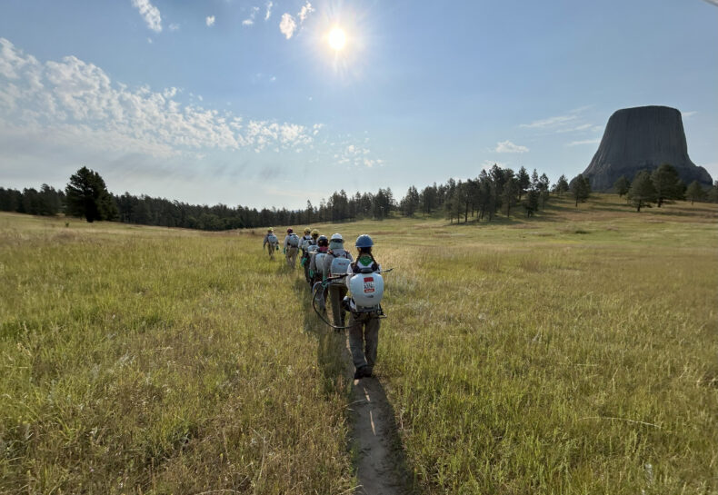 Why You Should Visit Devils Tower