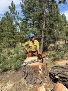 A firefighter with a chainsaw standing behind a large tree stump.