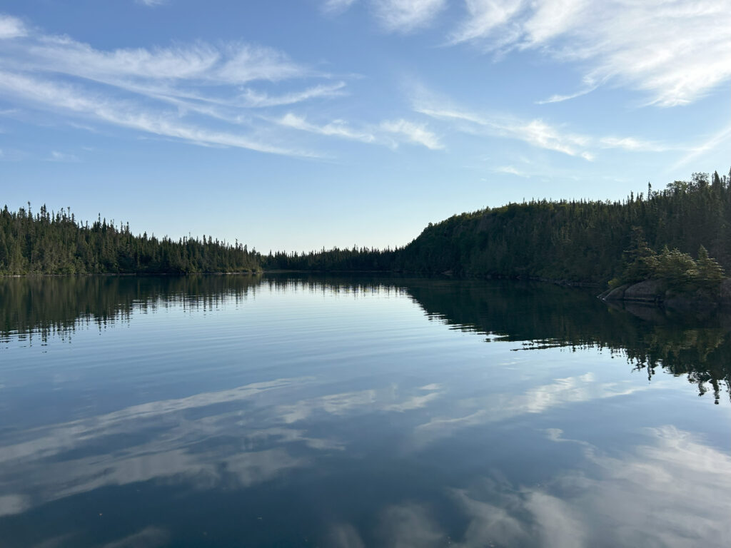 Trees and a lake.