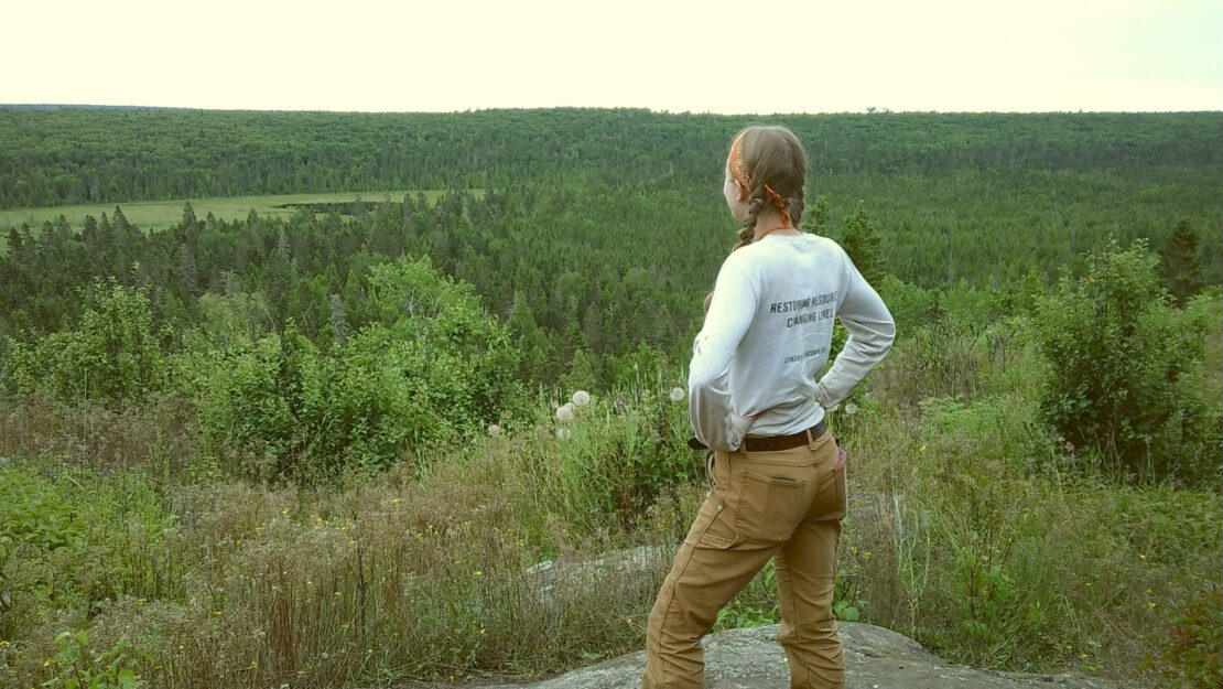A person standing at a overlook