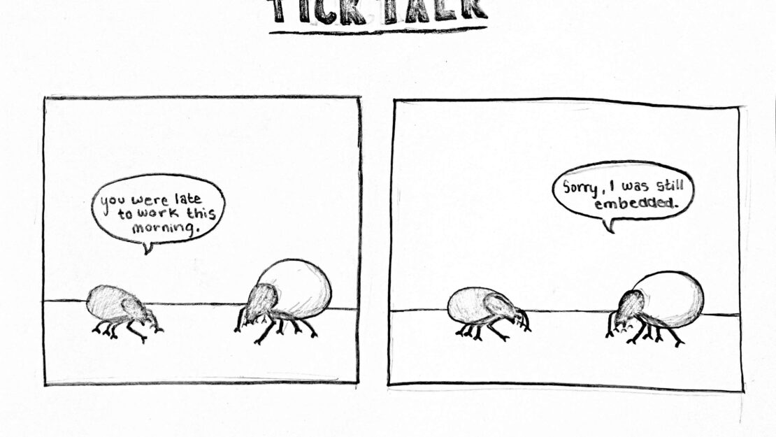 A two panel comic strip with two ticks. One says 