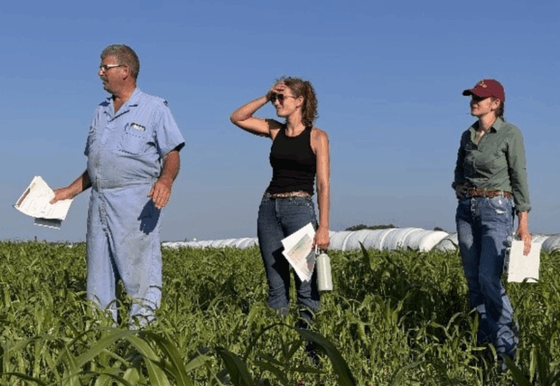 From Pasture to Protection: Livestock Farmers Leading Minnesota’s Soil and Water Revival