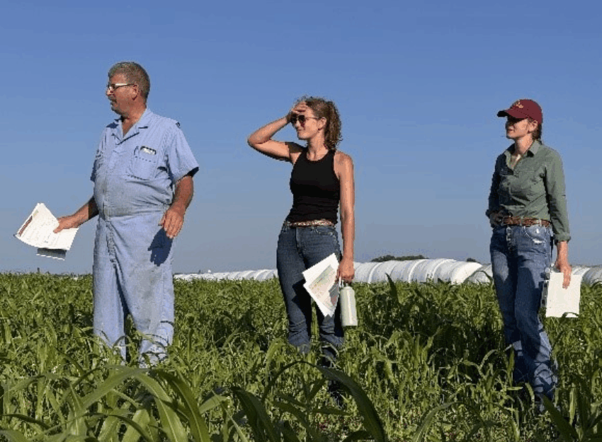 three people standing in a farm field