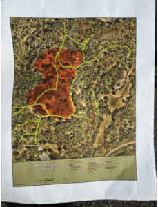 Paper map outlining buckthorn removal area