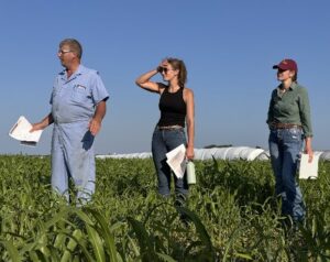 Three people standing in a farm field