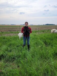 A person standing in a field holding two black sheep