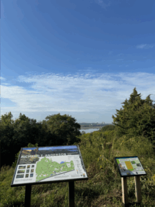 View from an overlook with blue skies and water in the background while trees and two trail maps are in the foreground