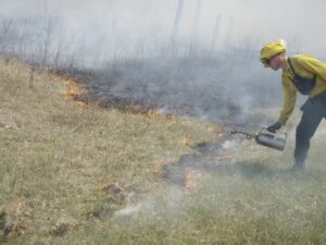 Old photo of a prescribed burn in 2010